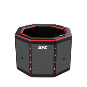 Netspa UFC Octagon IceBath