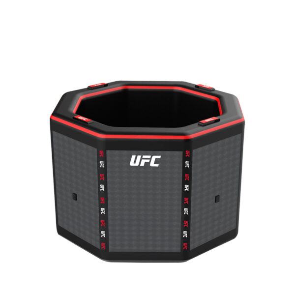 Netspa UFC Octagon IceBath