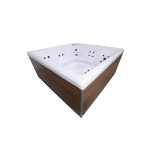 Spa NetSpa Square Wave 2
